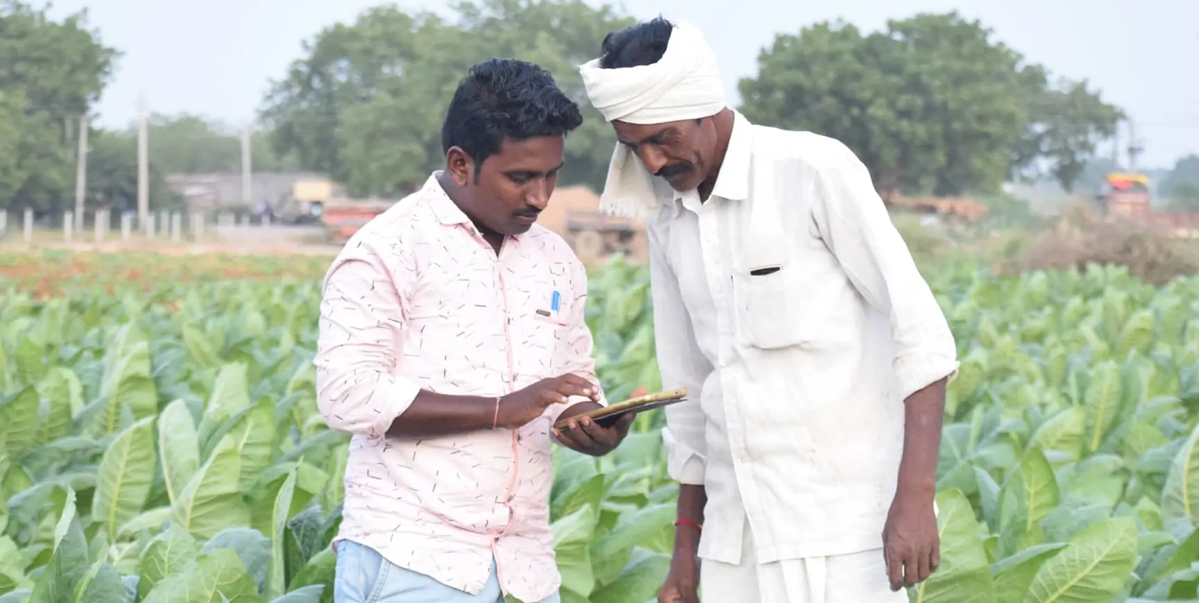 Strengthening adaptation and resilience