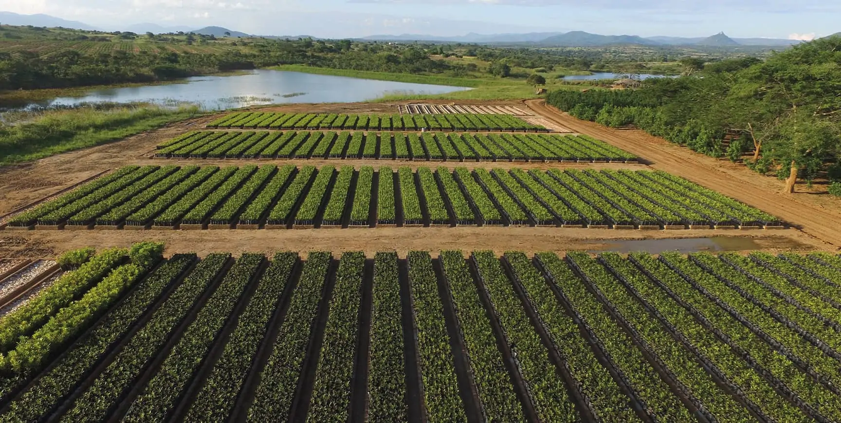 Trailblazing climate-smart agriculture