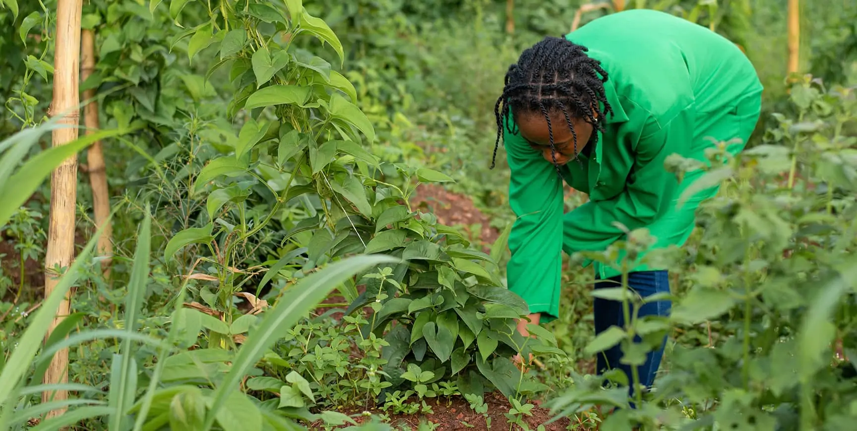 Building climate resilience where it’s most needed
