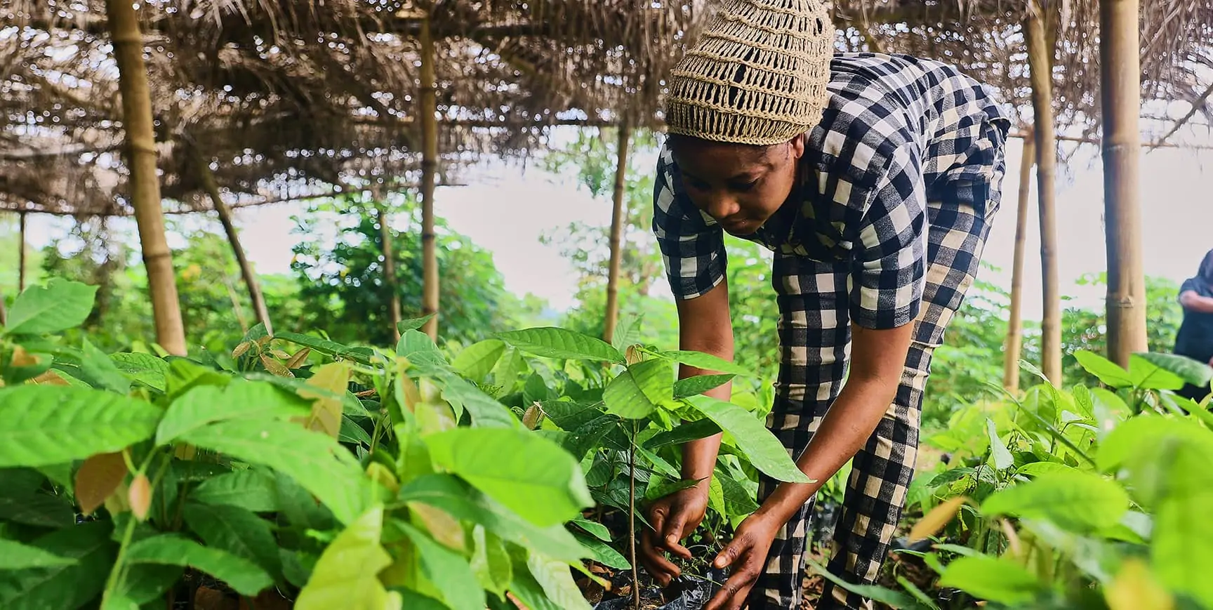 Fairer futures for cocoa farmers