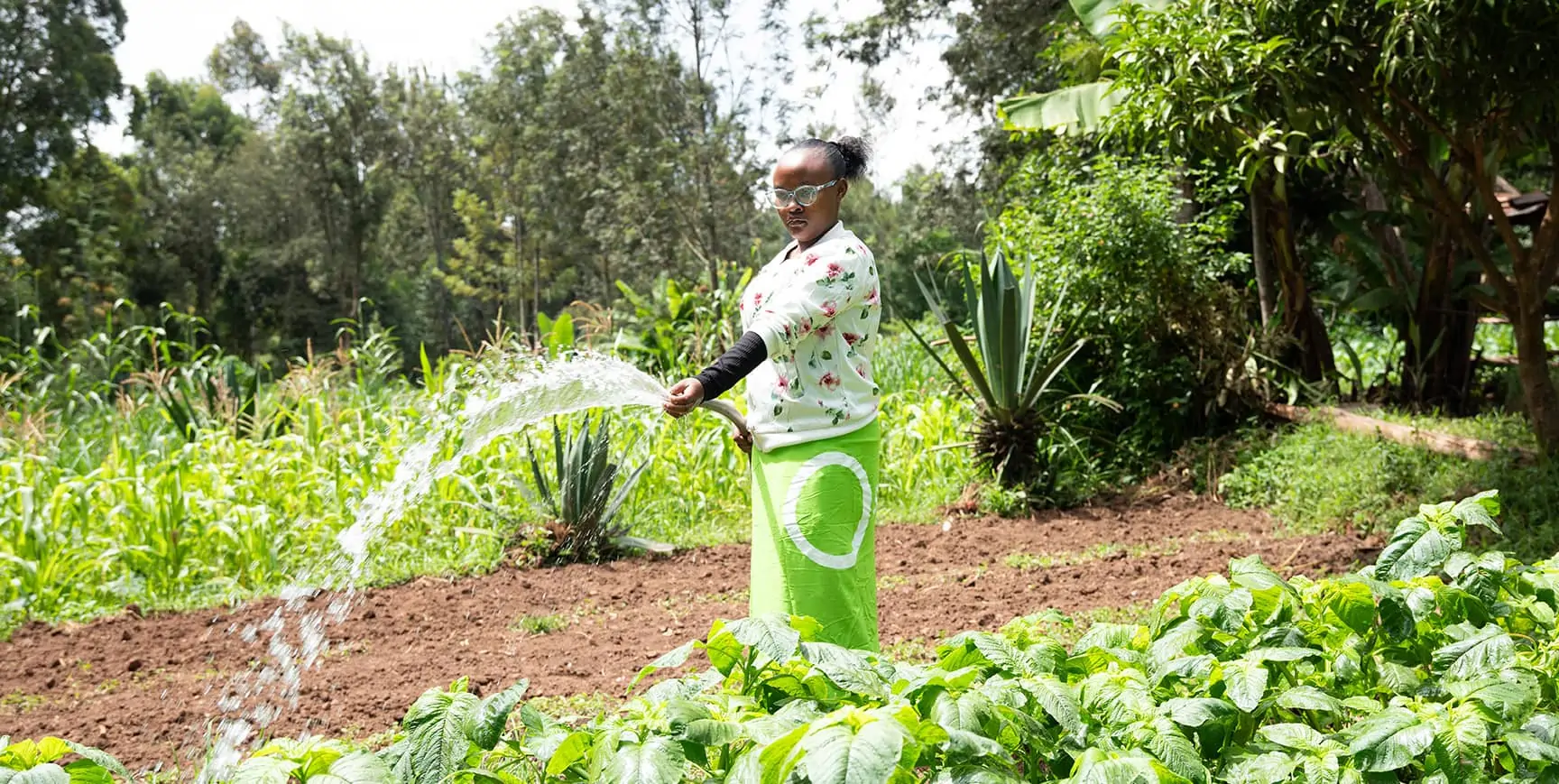 Boosting farmer resilience
