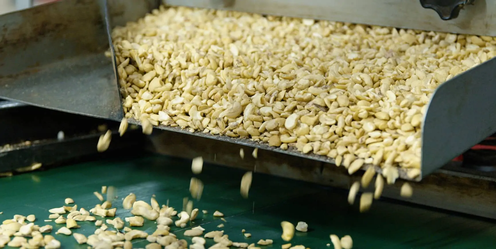 Unleashing market access for farmers and boosting jobs