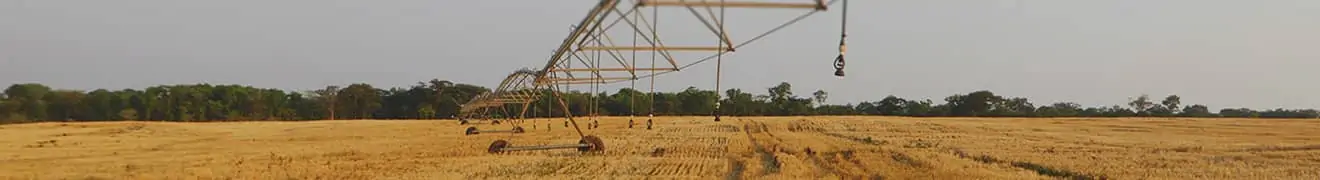 Image of field