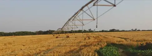 Image of field